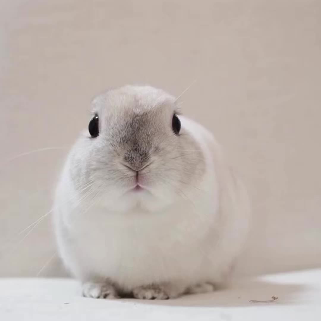@๐ฟ๐๐๐๐๐๐๐๐๐๐ ๐ฏ .แโธโธ