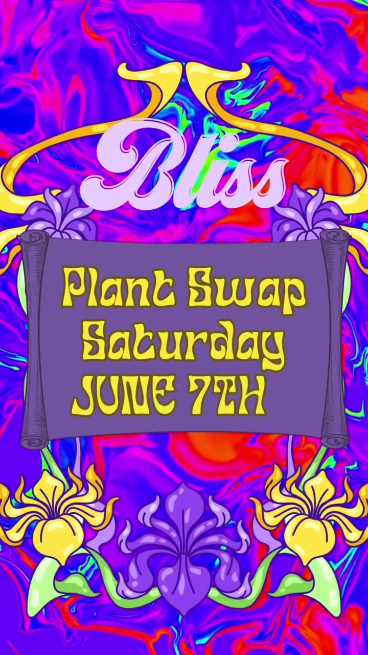 @Bliss Vintage