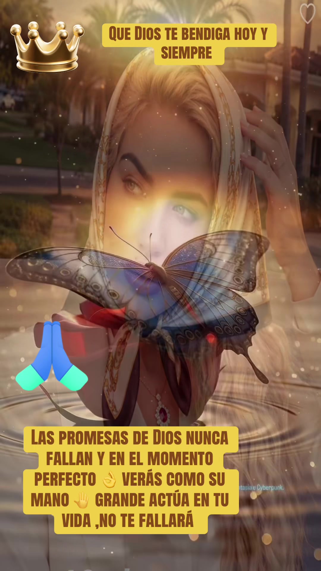 @cindy11.6