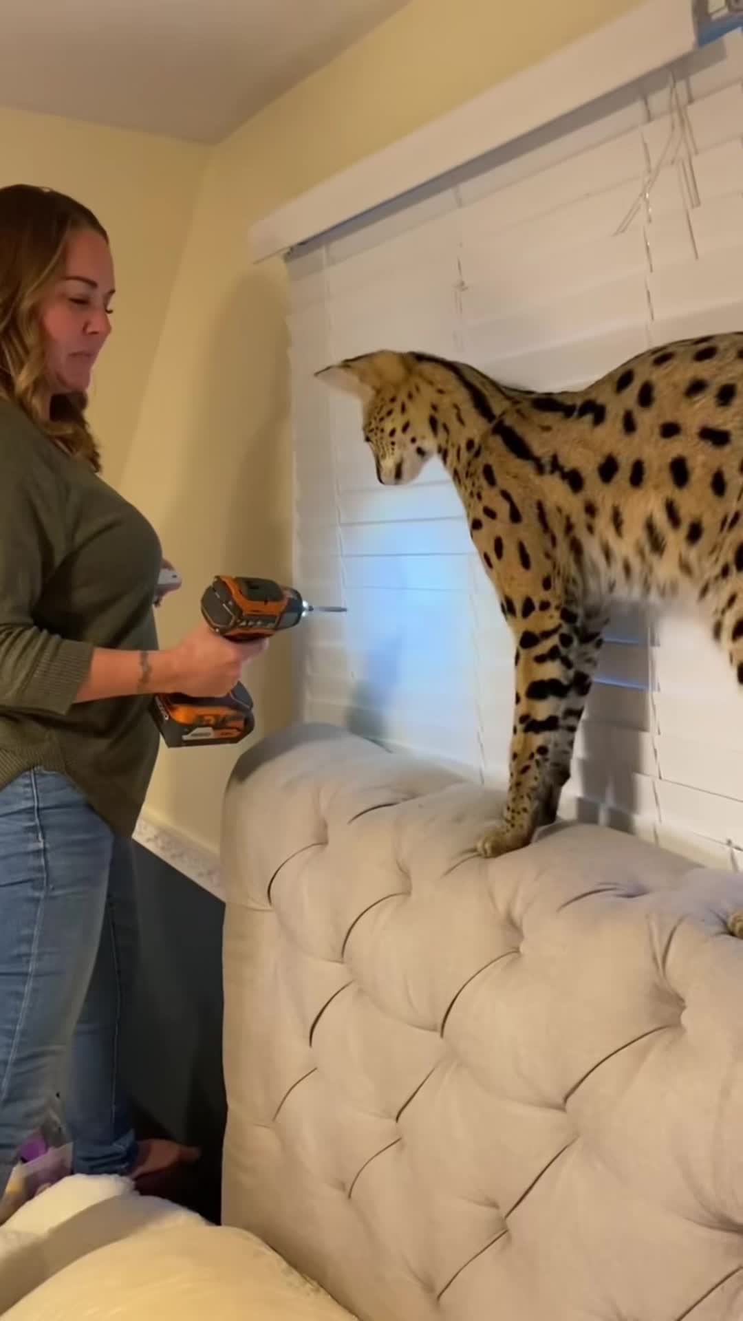@cat moment