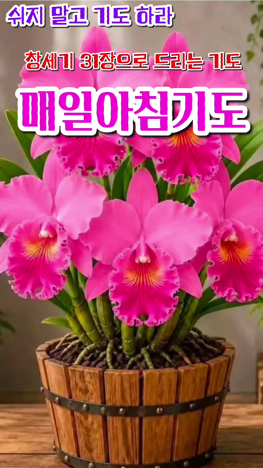 @피켓전도 김종일 목사