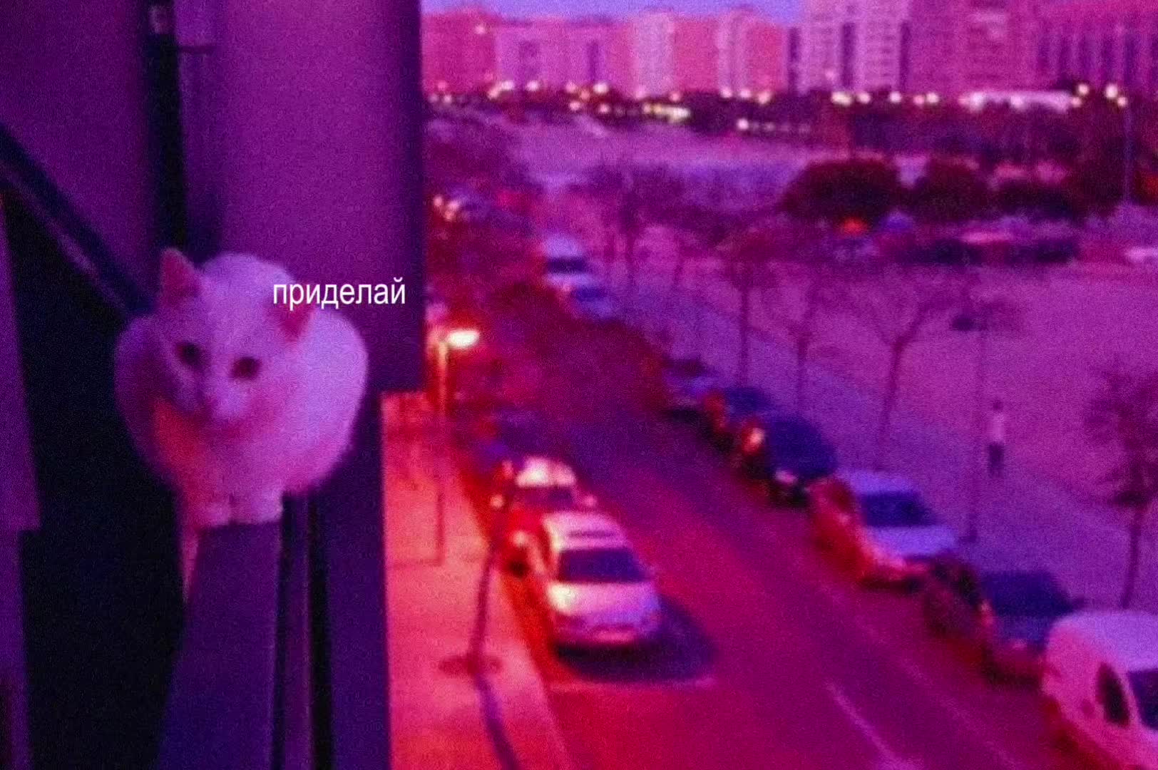 @звуки для липсингов