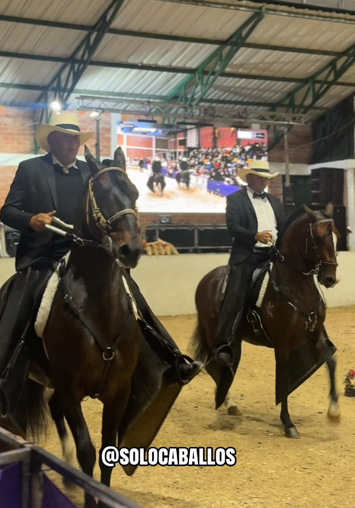 @Solo Caballos