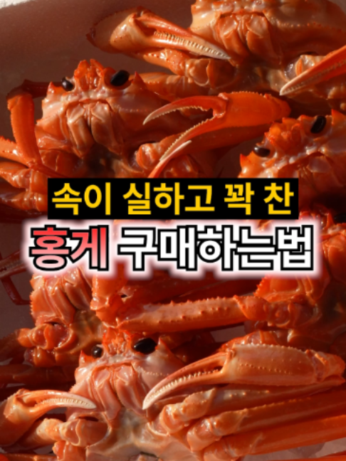 @싱싱헌터스