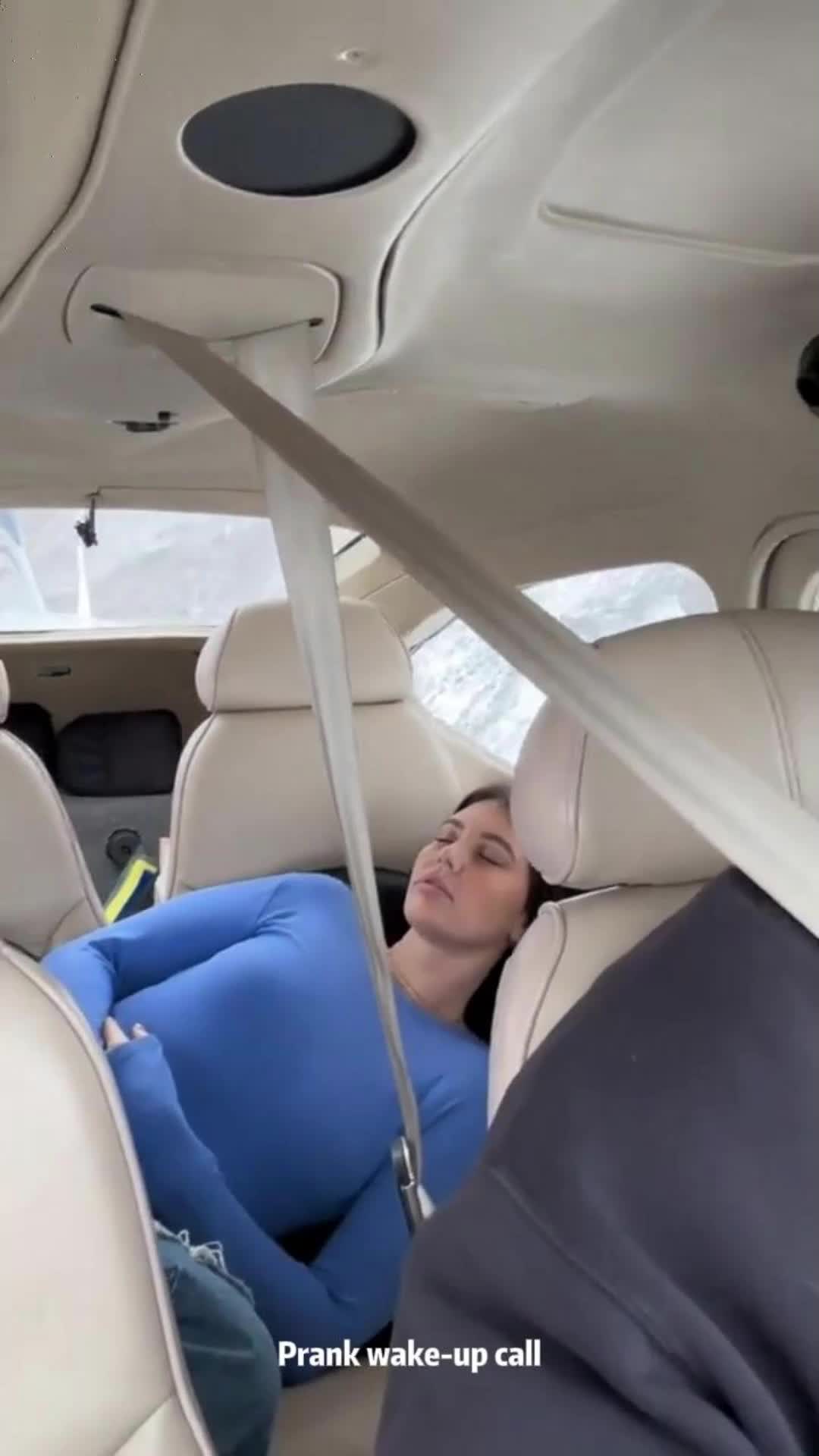 @funnypetsoftiktok2