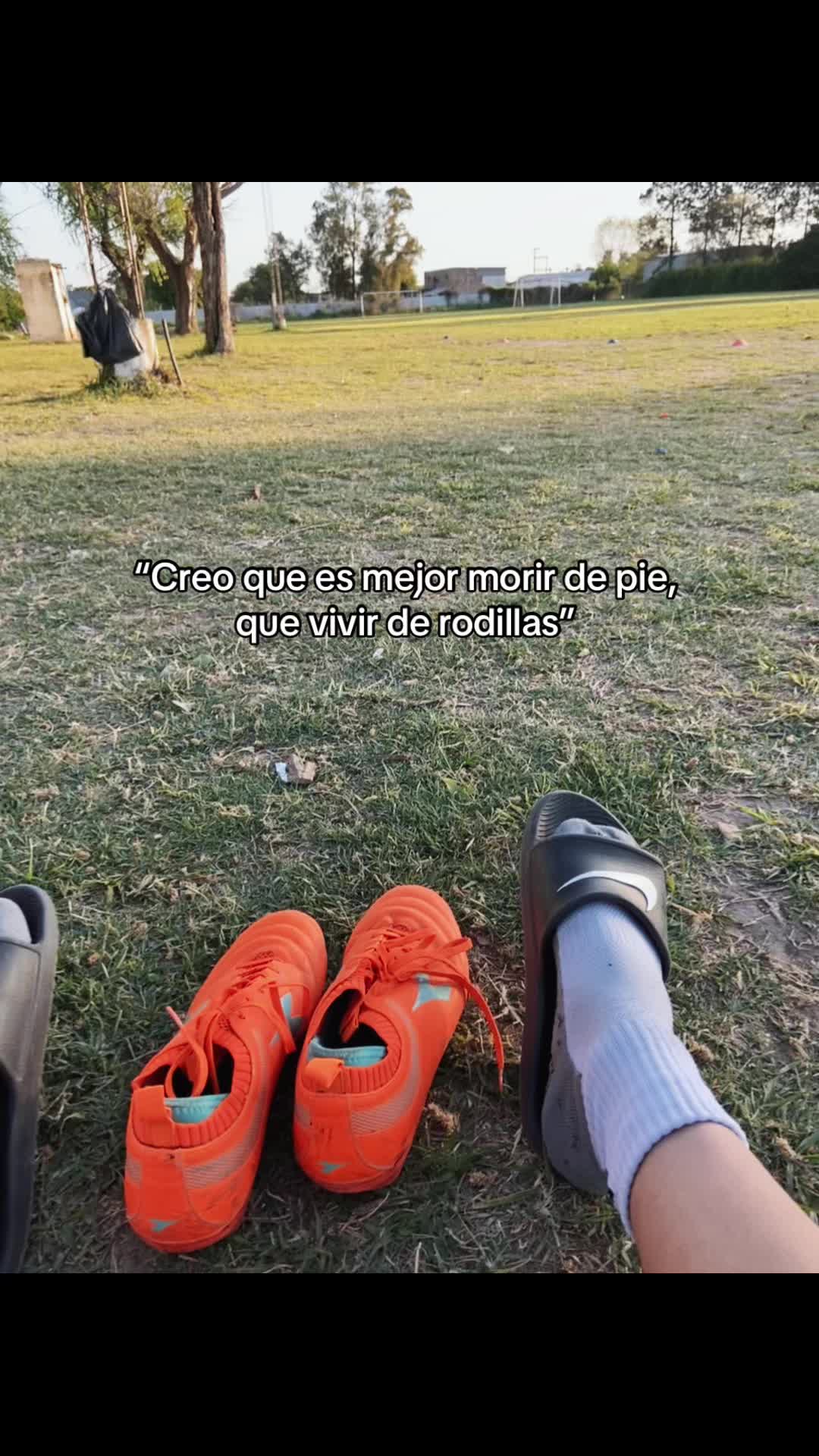 @🦇