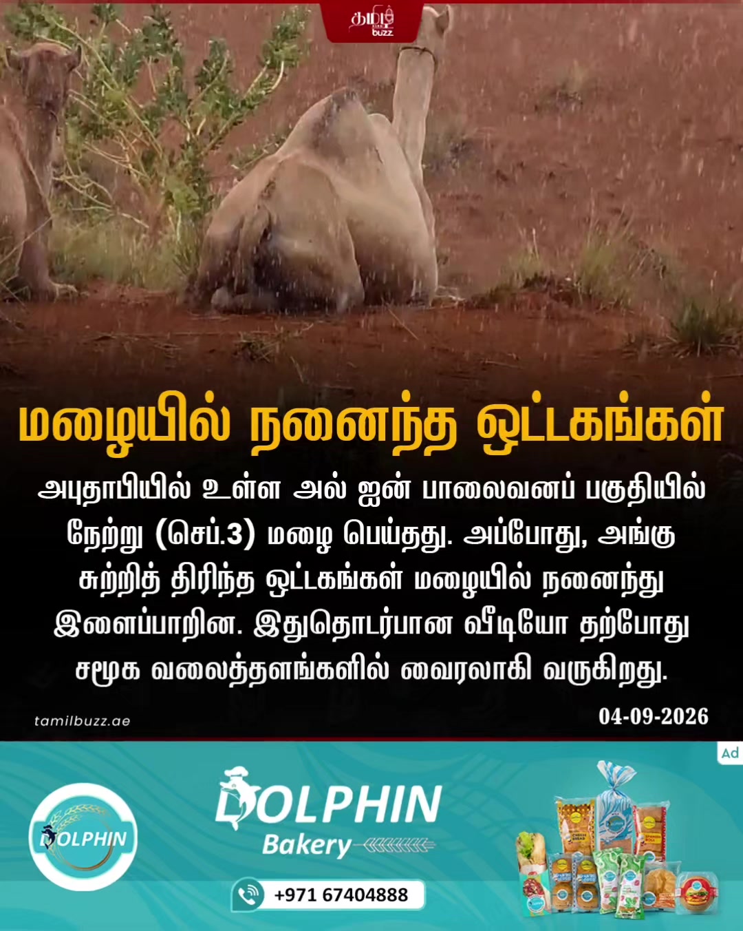 @TamilBuzzDubai