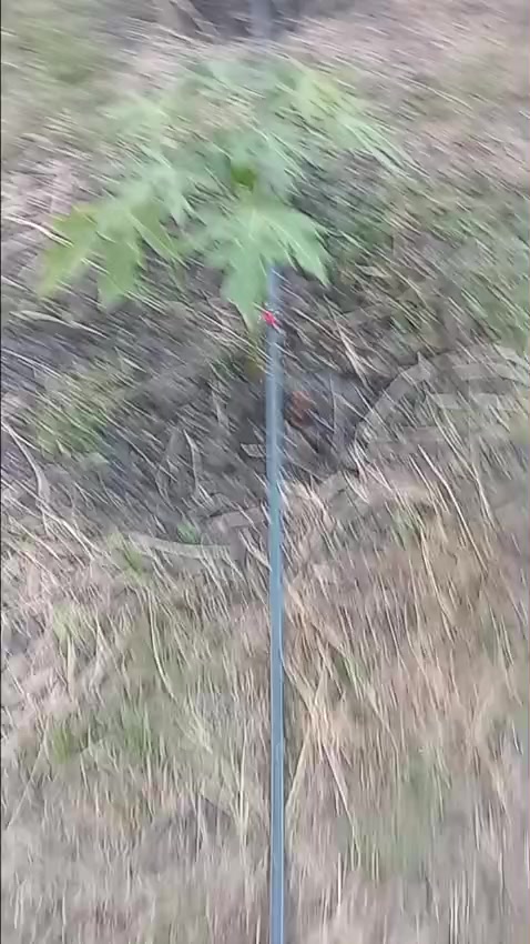 @Farming Expert