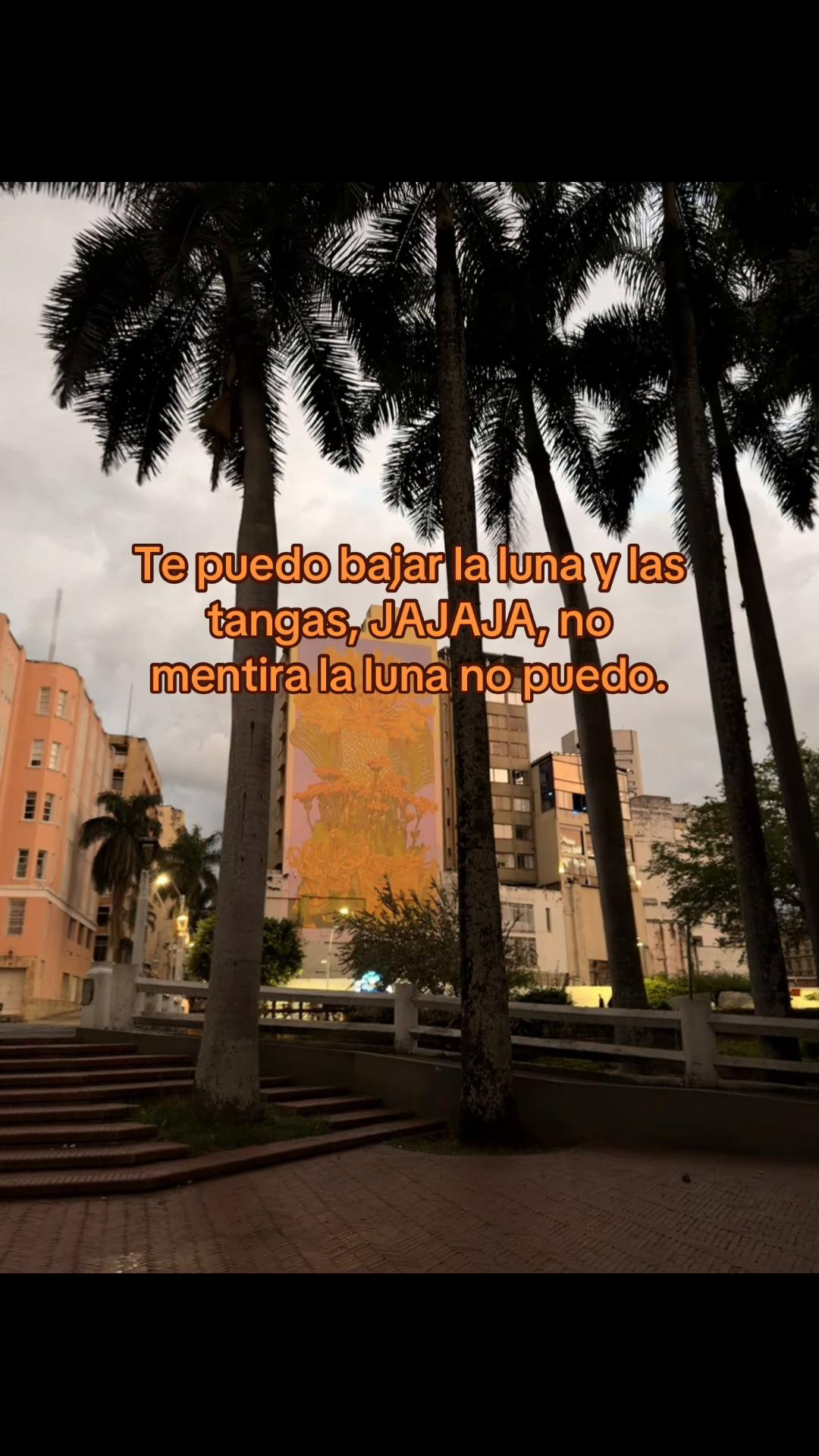 @UnTal Javier Pro Max