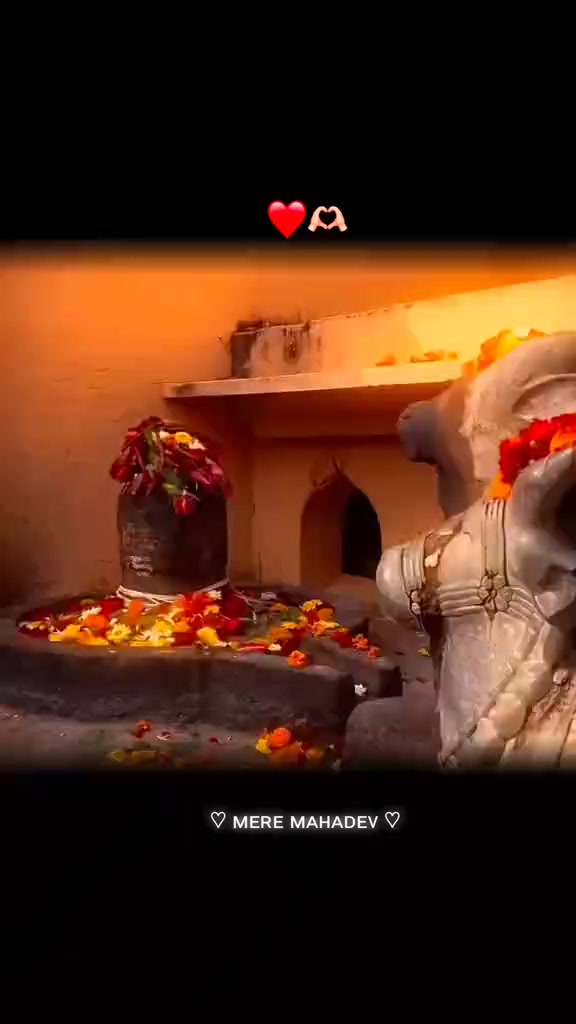 @DP THAKUR