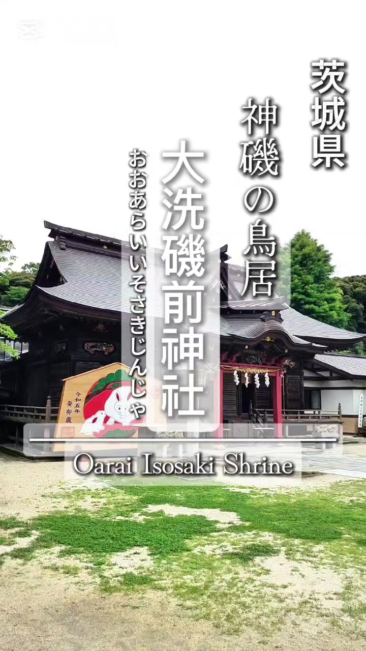 @⛩️MIKADO⛩️