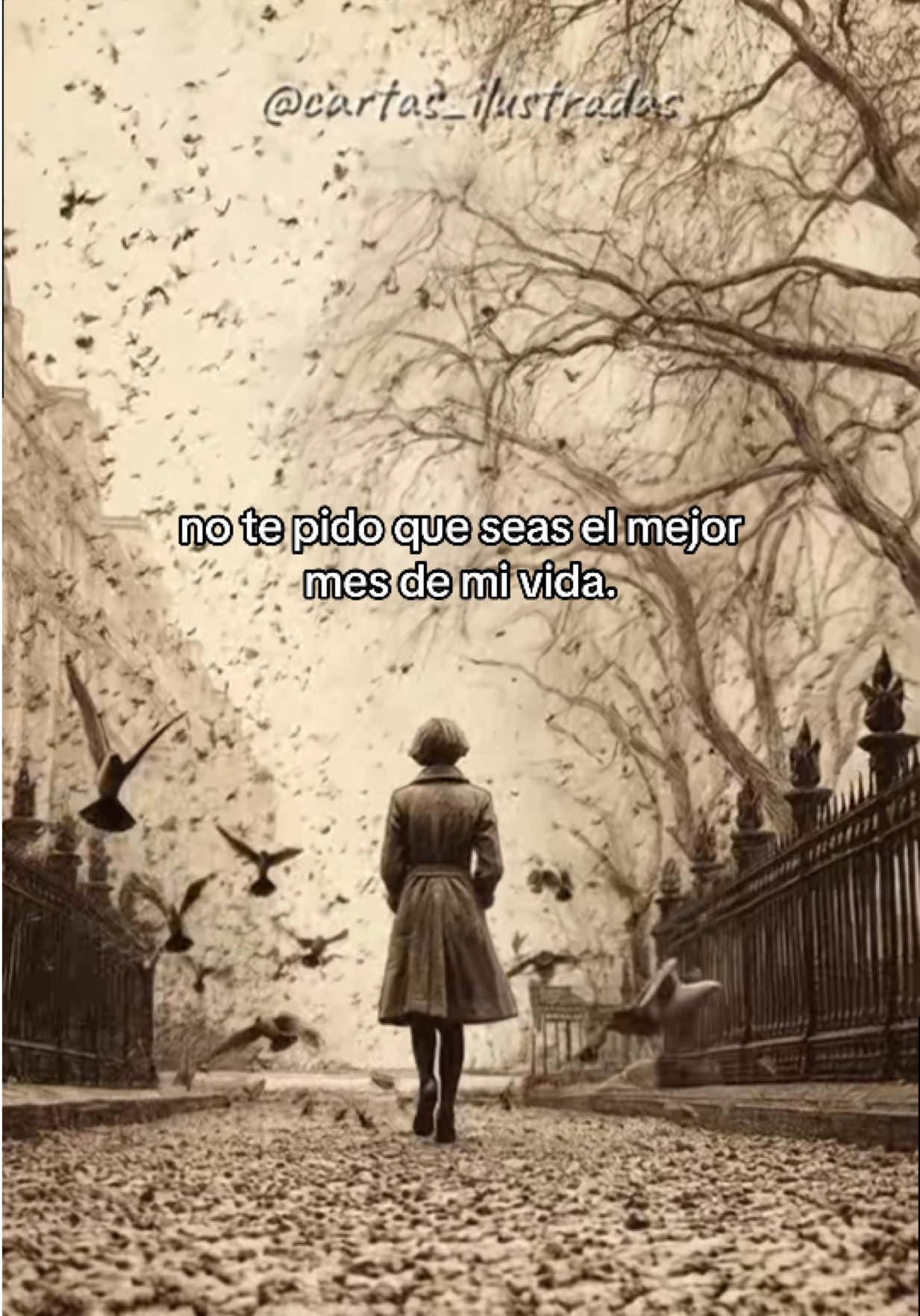 @Cartas_Ilustradas