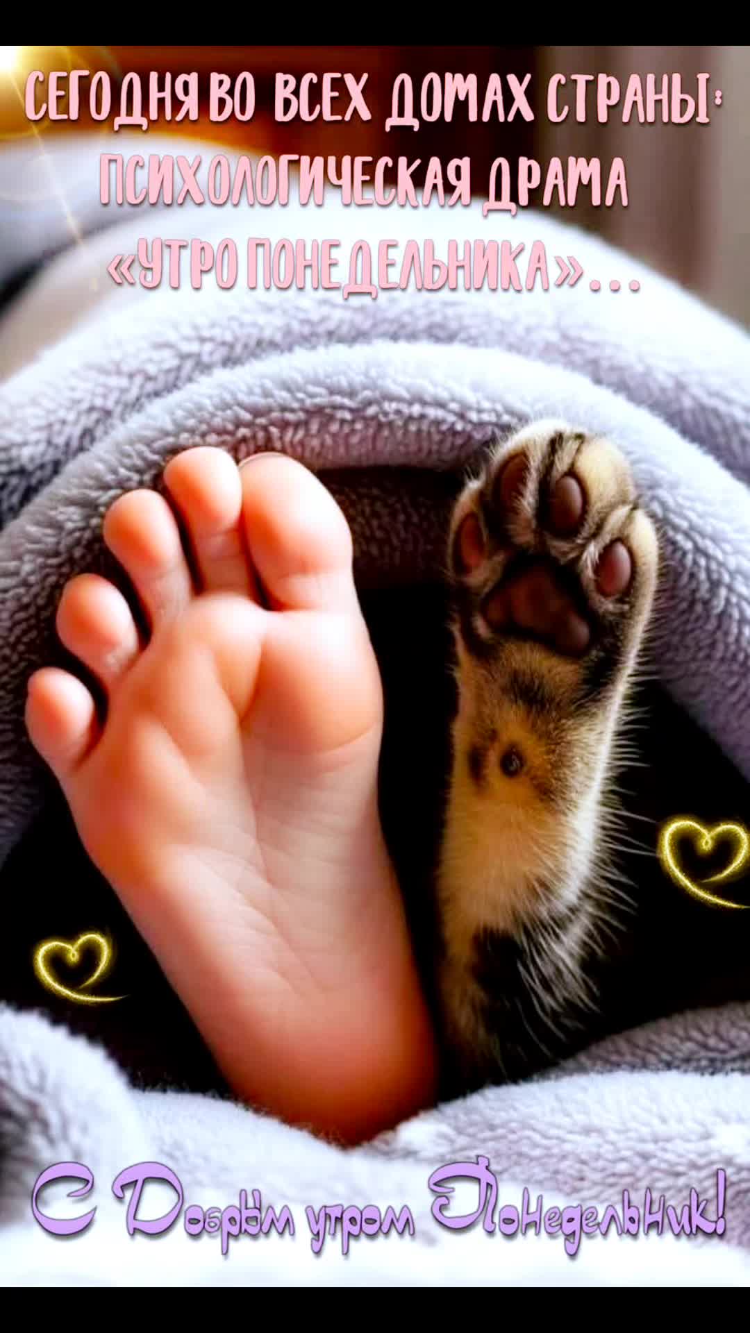 @ooopp
