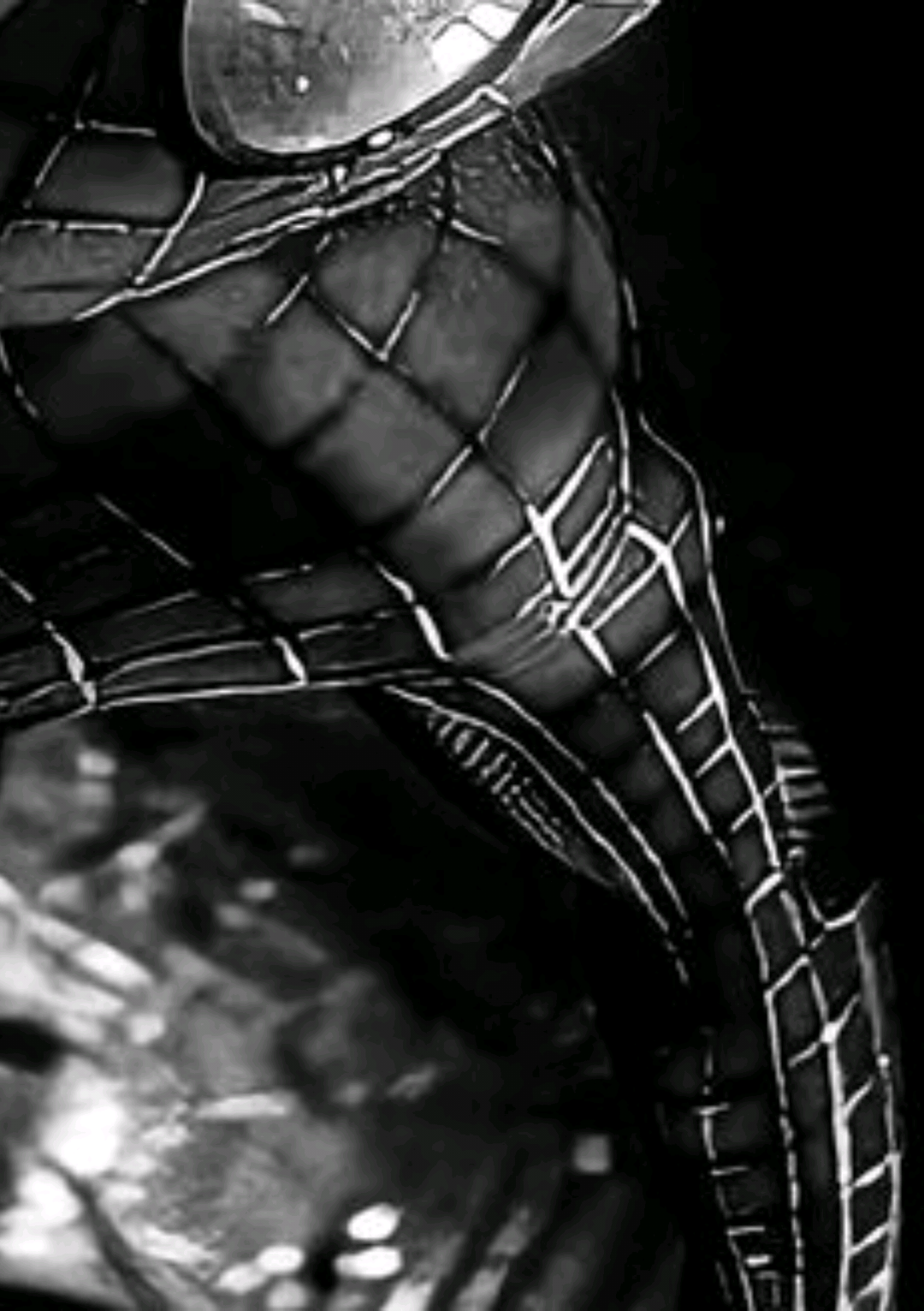 @𝐓𝐡𝐫𝐞𝐞𝟎𝟑.𝐌𝐮𝐬𝐢𝐜