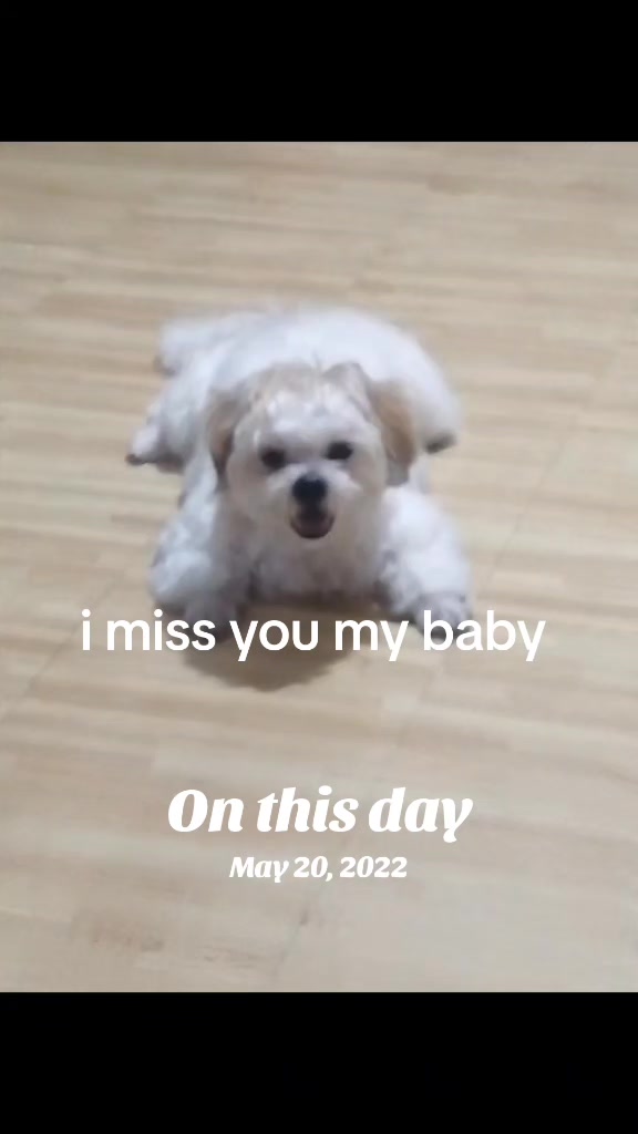 @asli&ash0710🥰🥰🥰❤️❤️