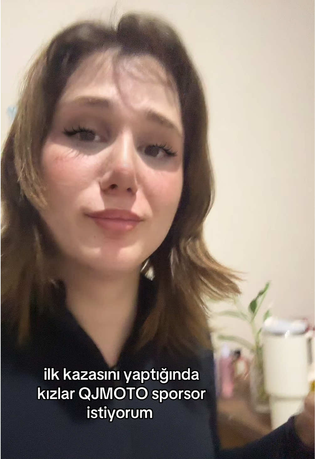 @allarqx🚩