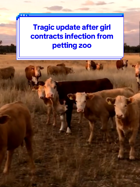 @Yahoo Australia