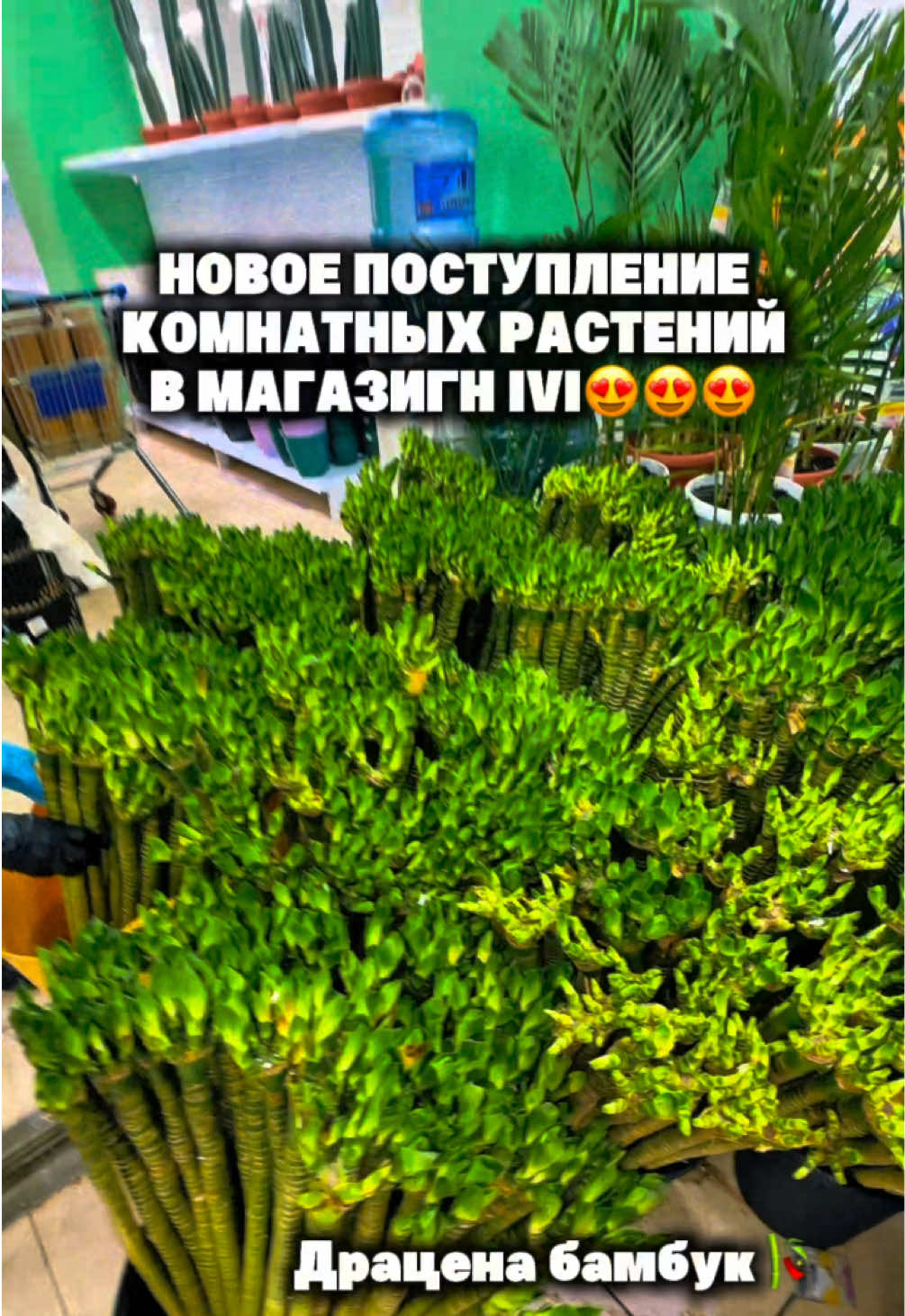 @ivicity_shop