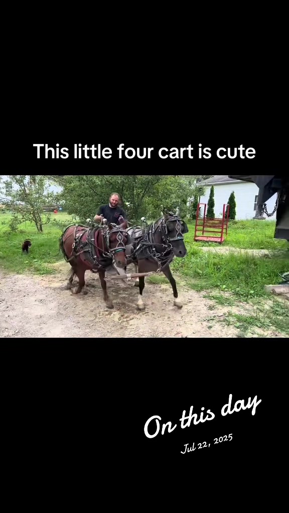 @cj