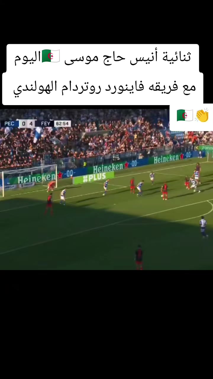 @Dassa.Mustapha🦍🇩🇿