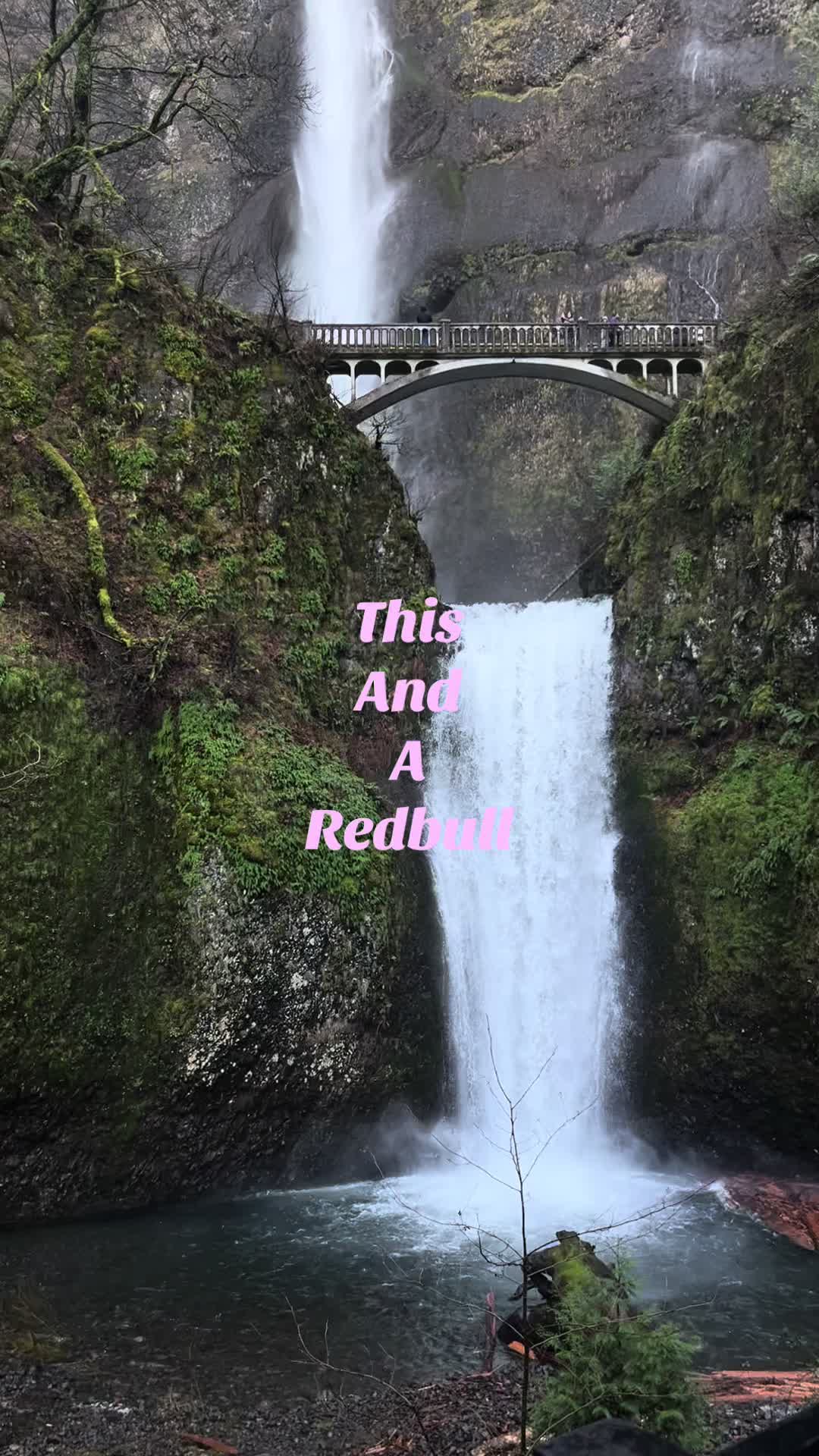 @alexia