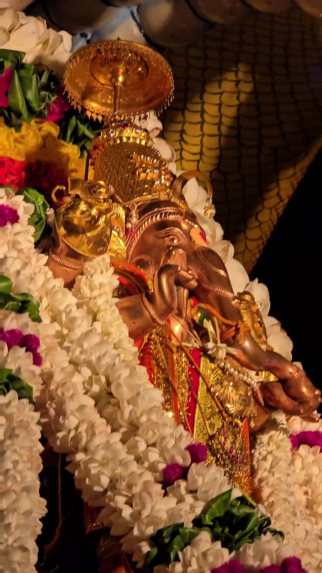 @Bavanujan🤵🏻♂️