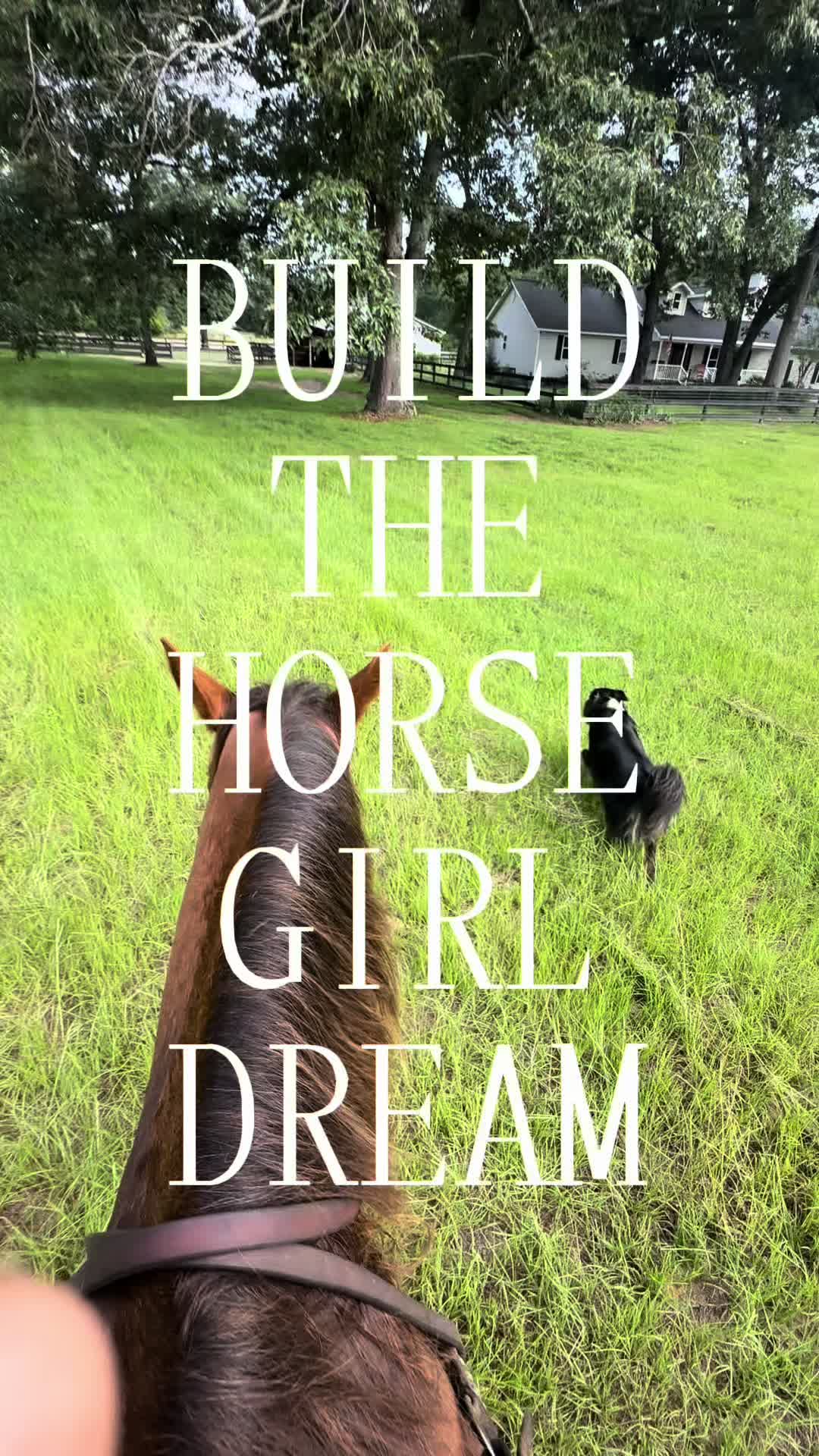 @corderoequine