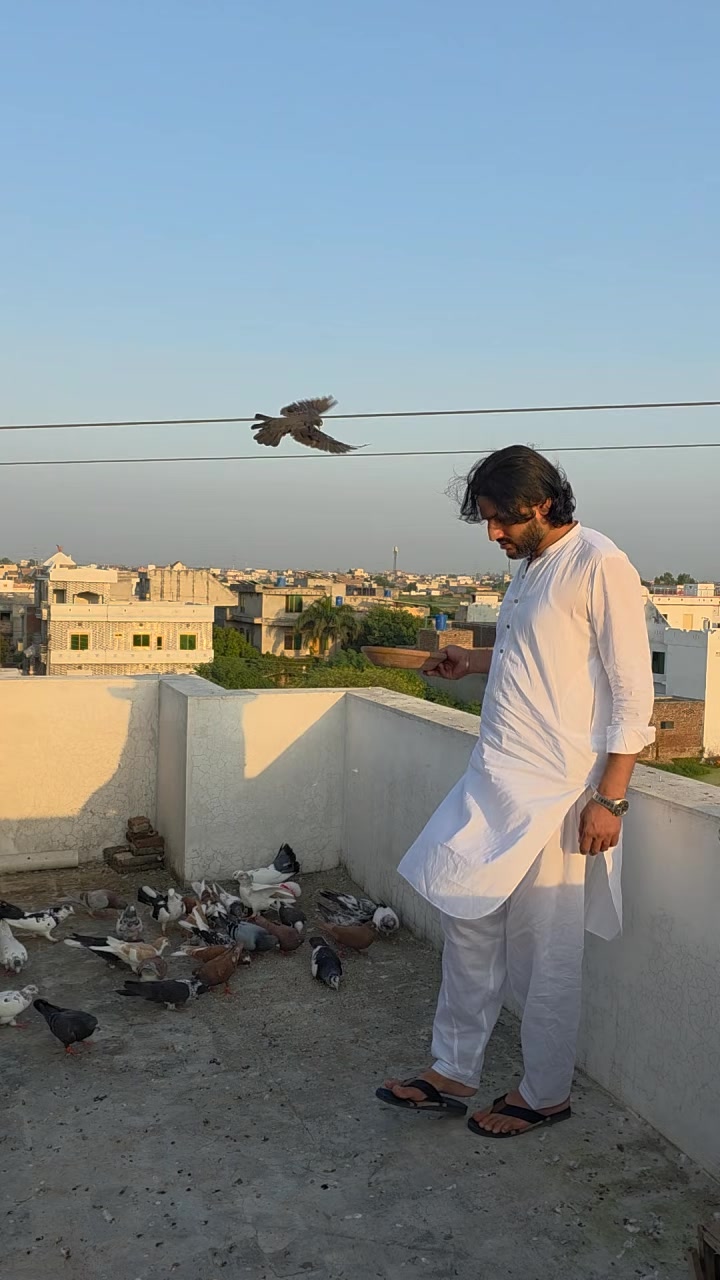 @jazib.warraich50