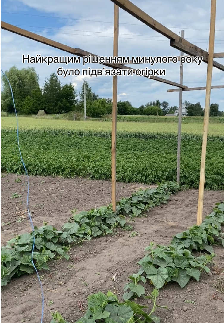 @Дружина фермера