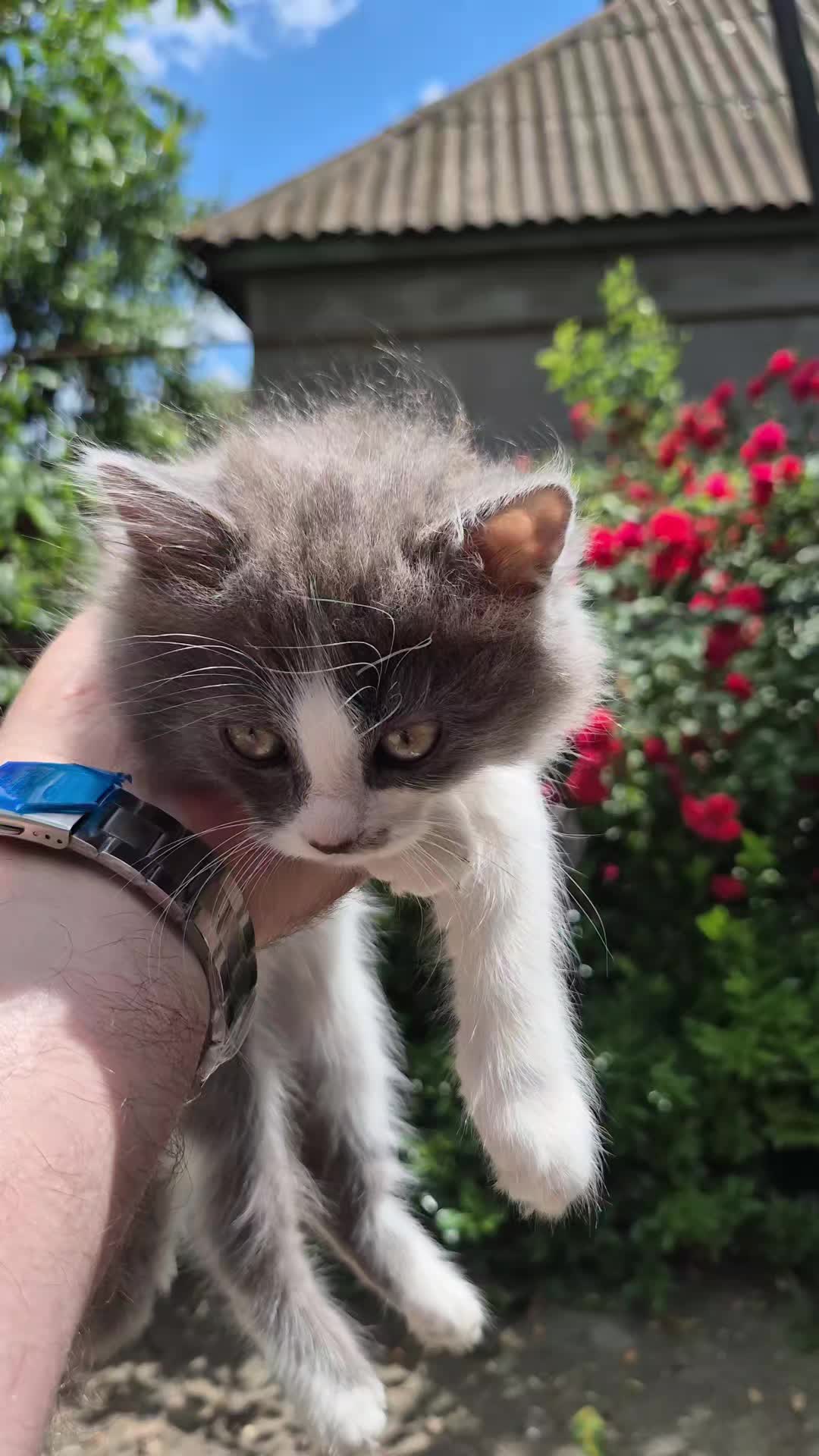 @Ремонт часов