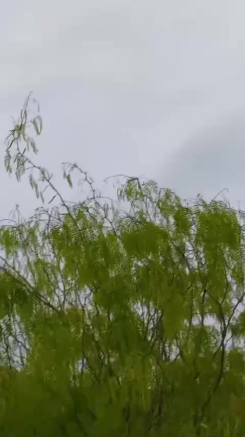 @꧁༒☬اٌمید آفریدی꧁༒☬