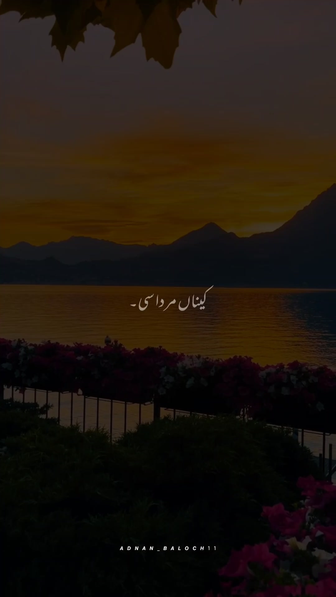 @𝗔𝗗𝗡𝗔𝗡🖤