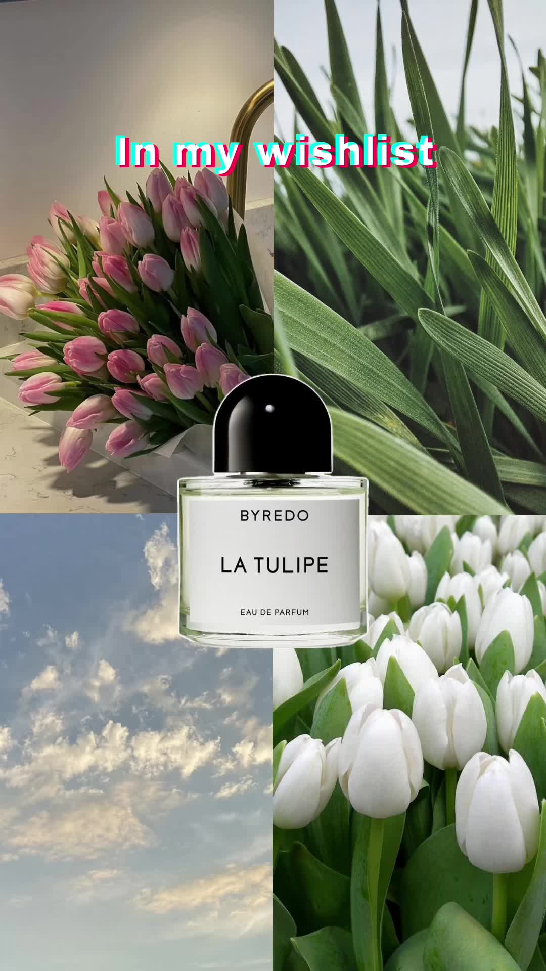@Veroandperfumes