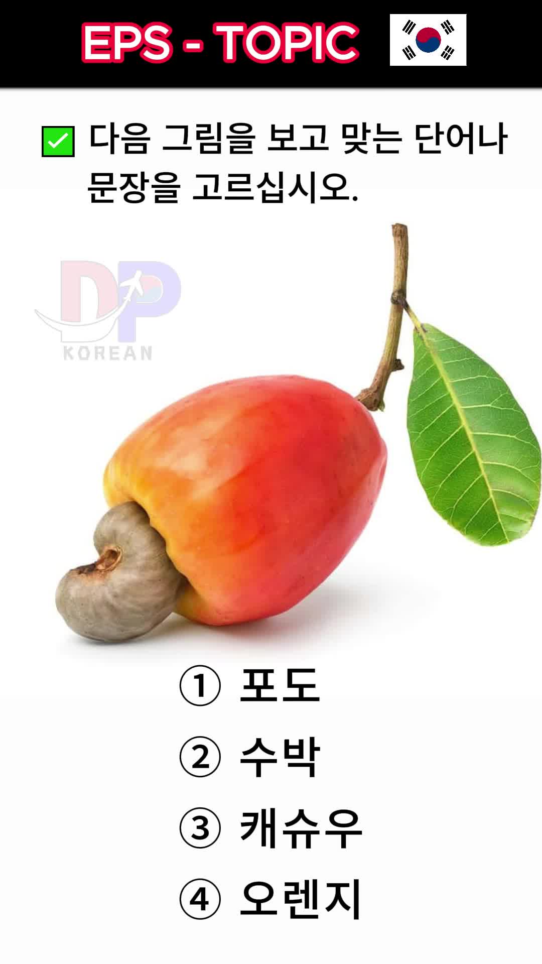 @DP korean