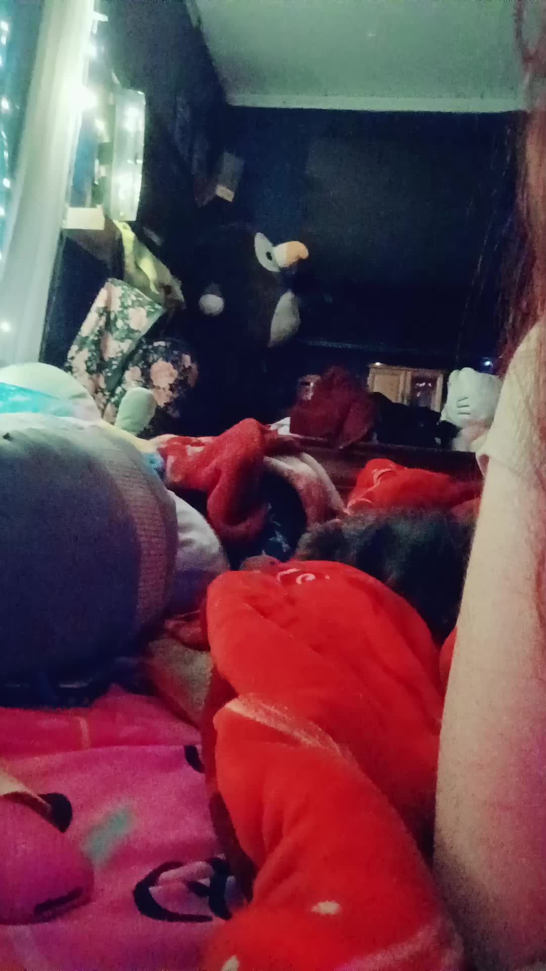 @arely guerrero
