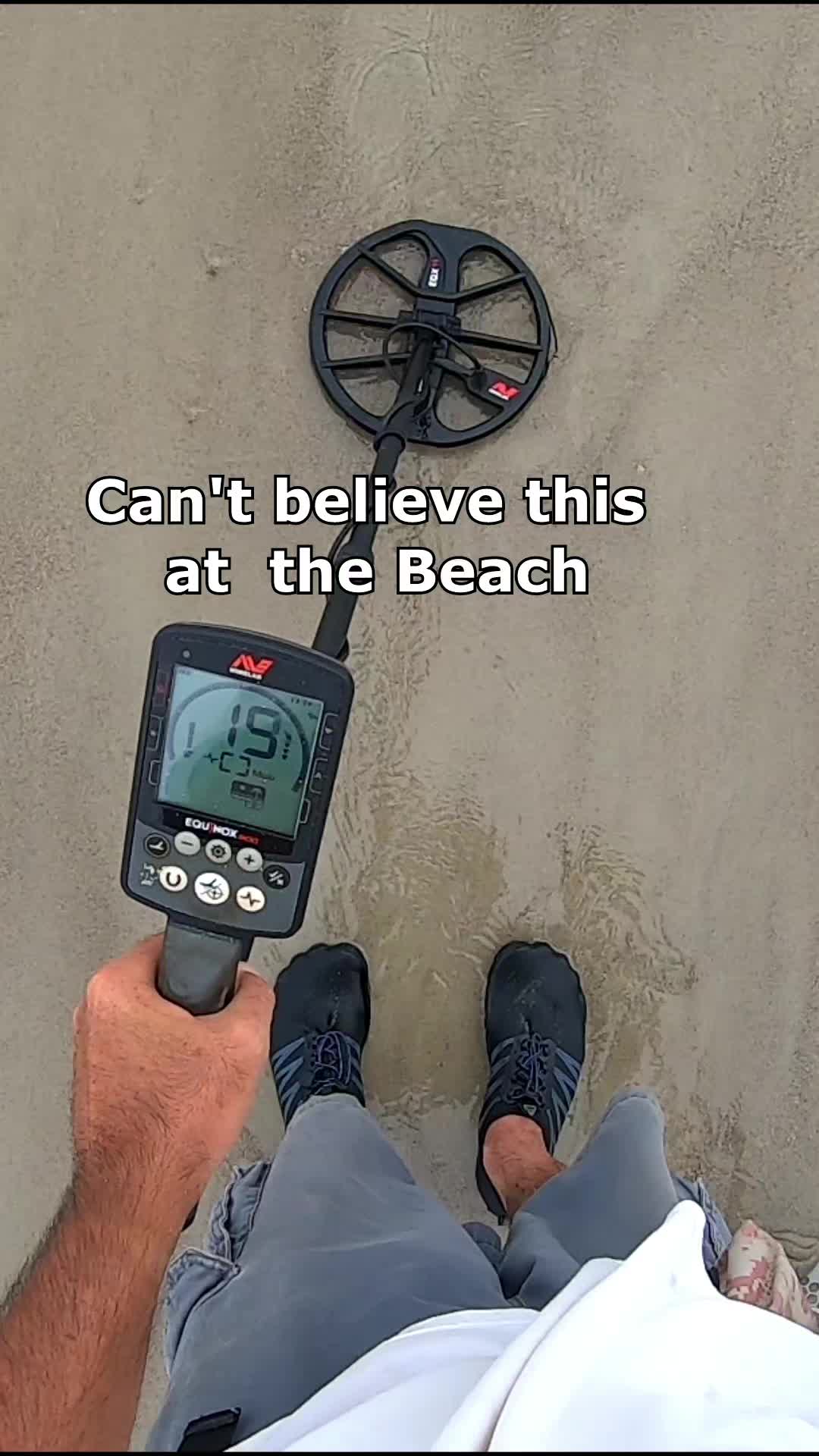@detectormoe