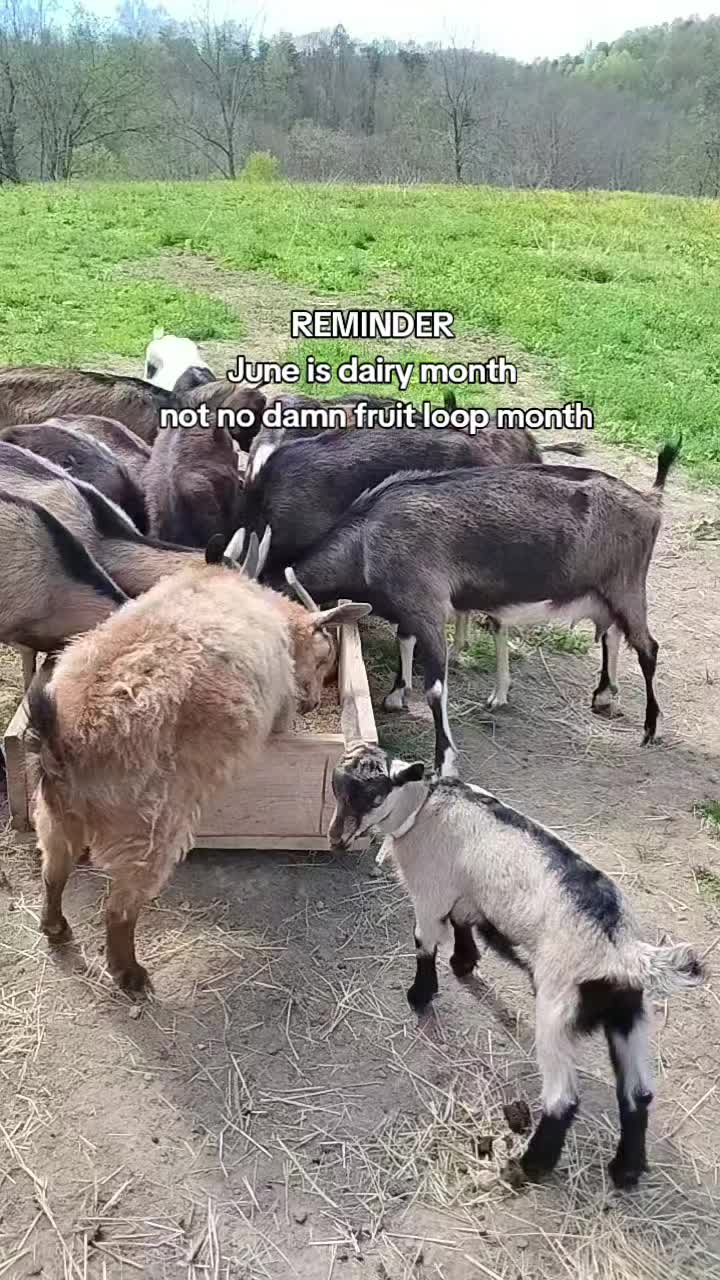 @em