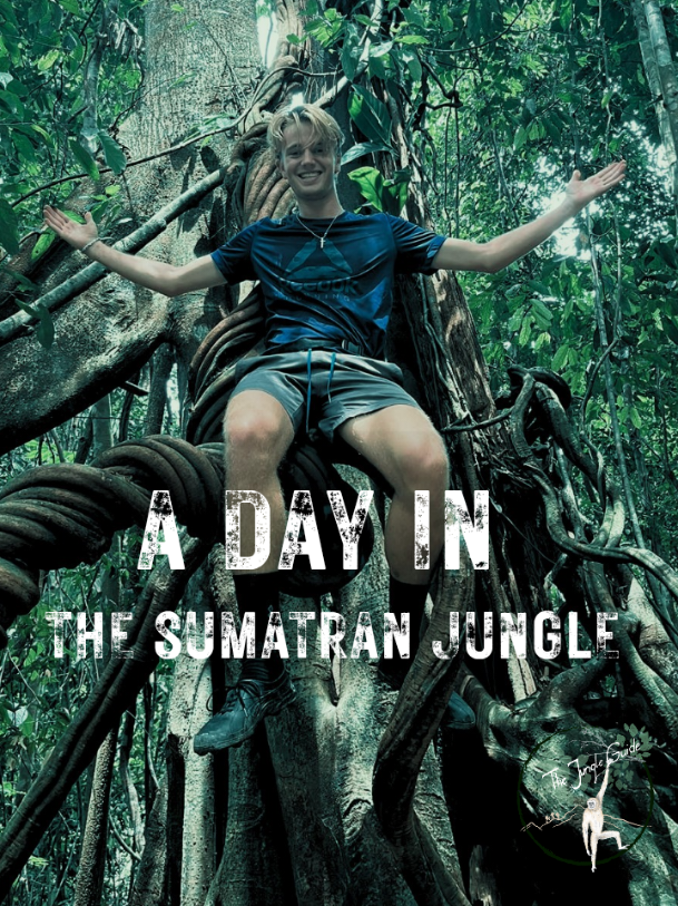@The Jungle Guide