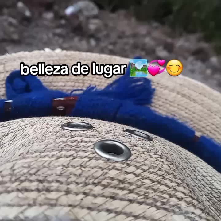 @Y-olii 🫧