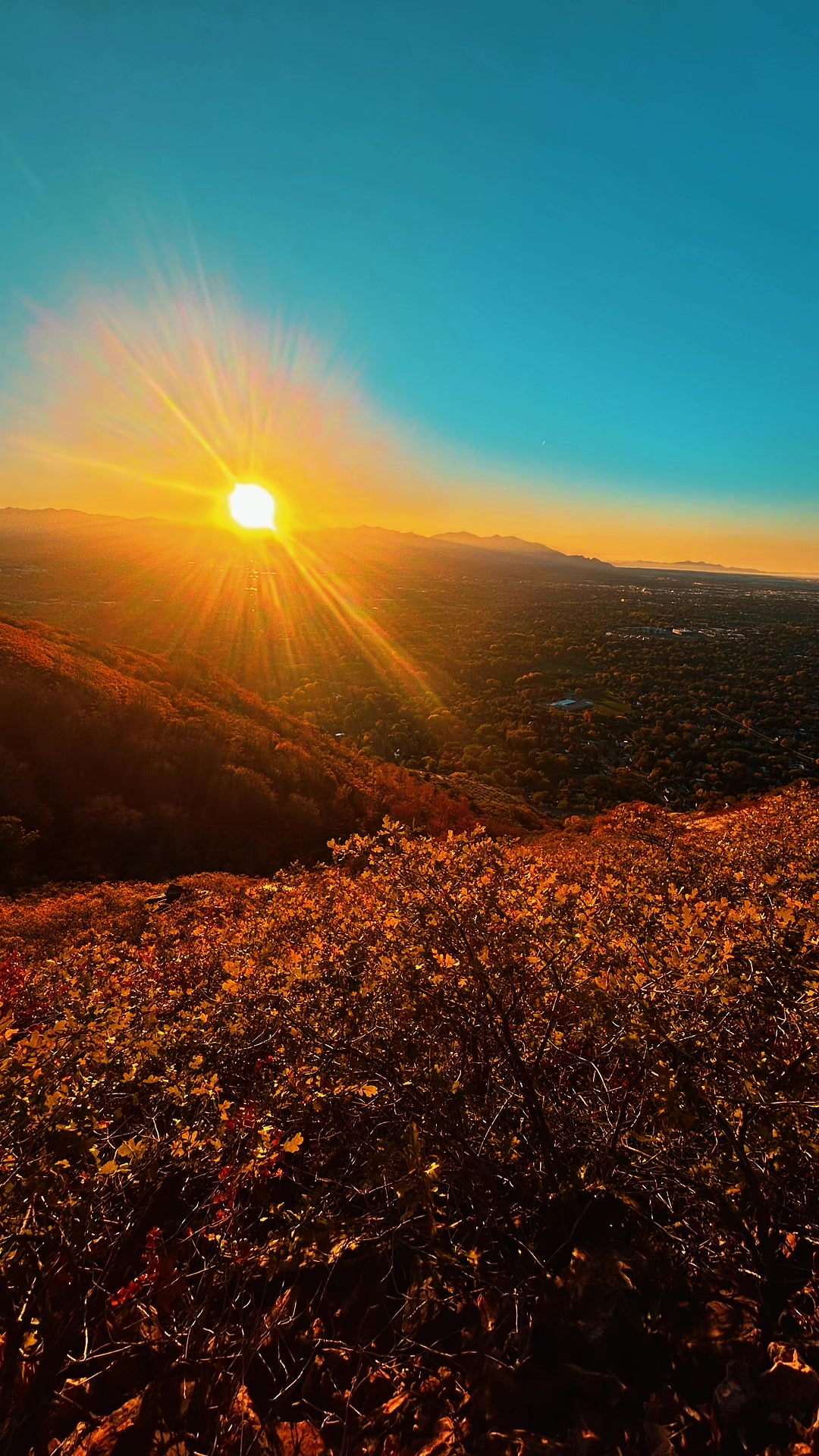 @Wild Fowler 🏔️🥾⛰️
