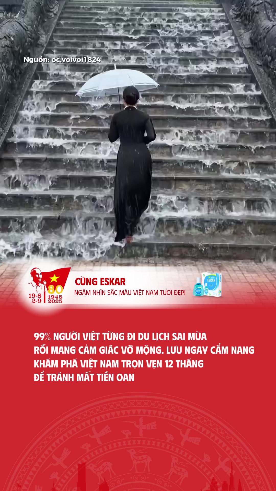 @Sắc Màu Việt Nam