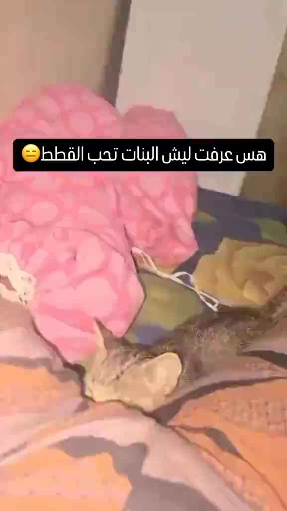 @๐ต๐๐๐๐๐๐