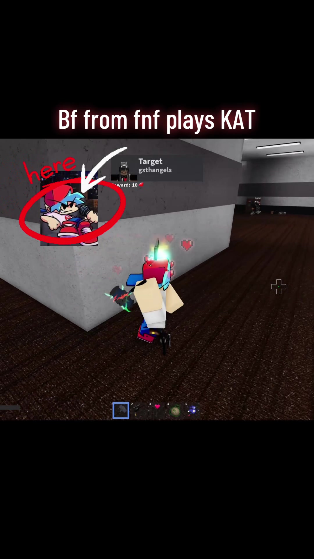 @Avidnight