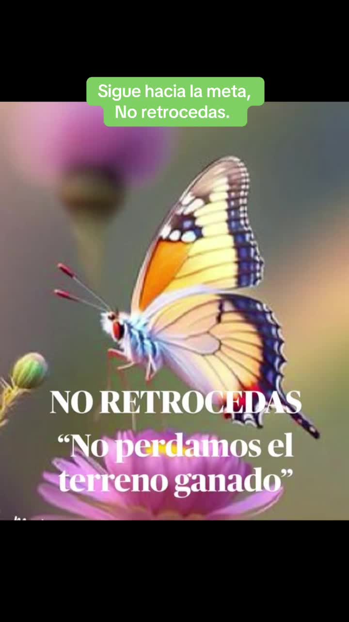 @Vivir & Amar