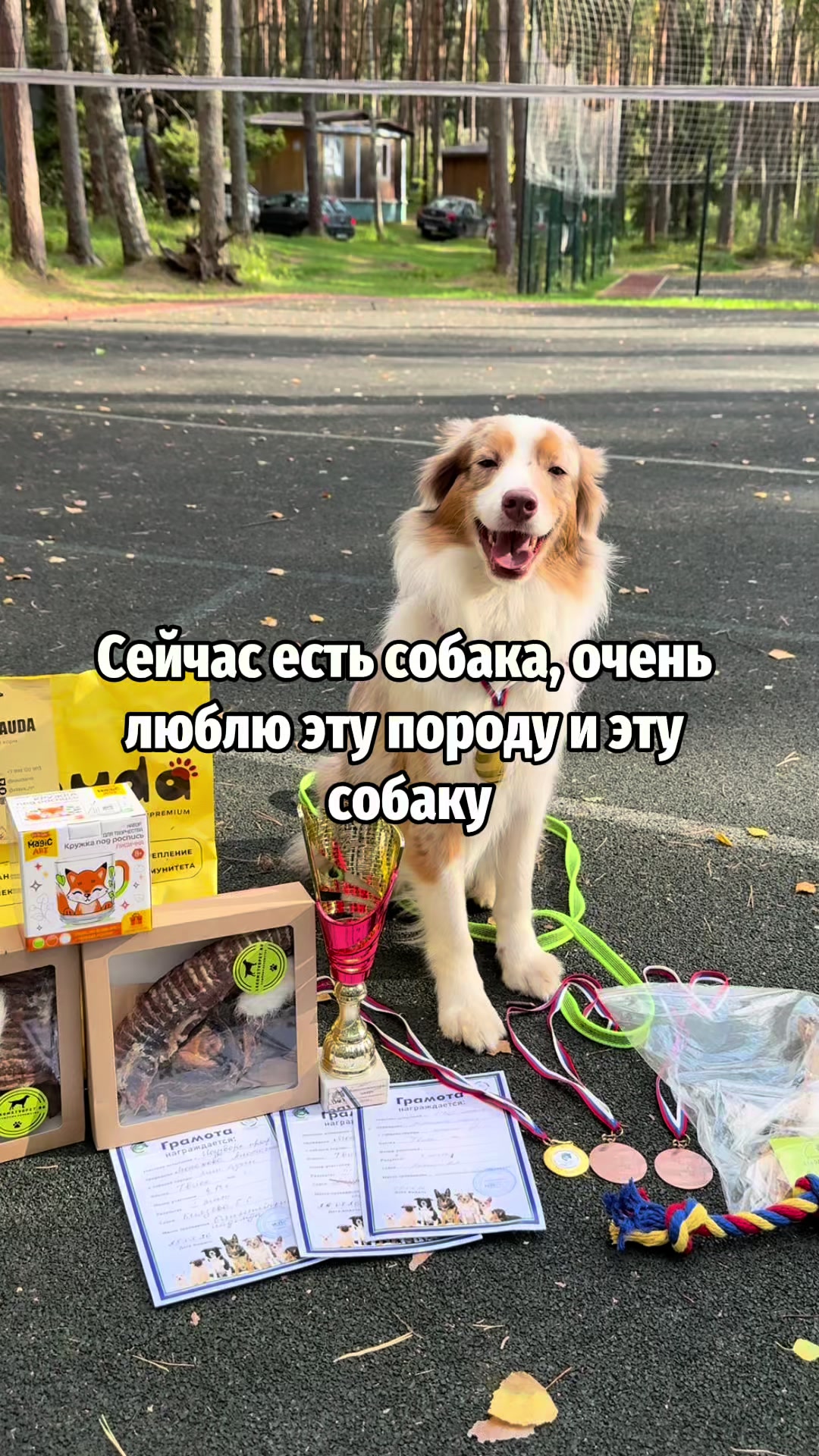 @𝚃𝚠𝚒𝚡