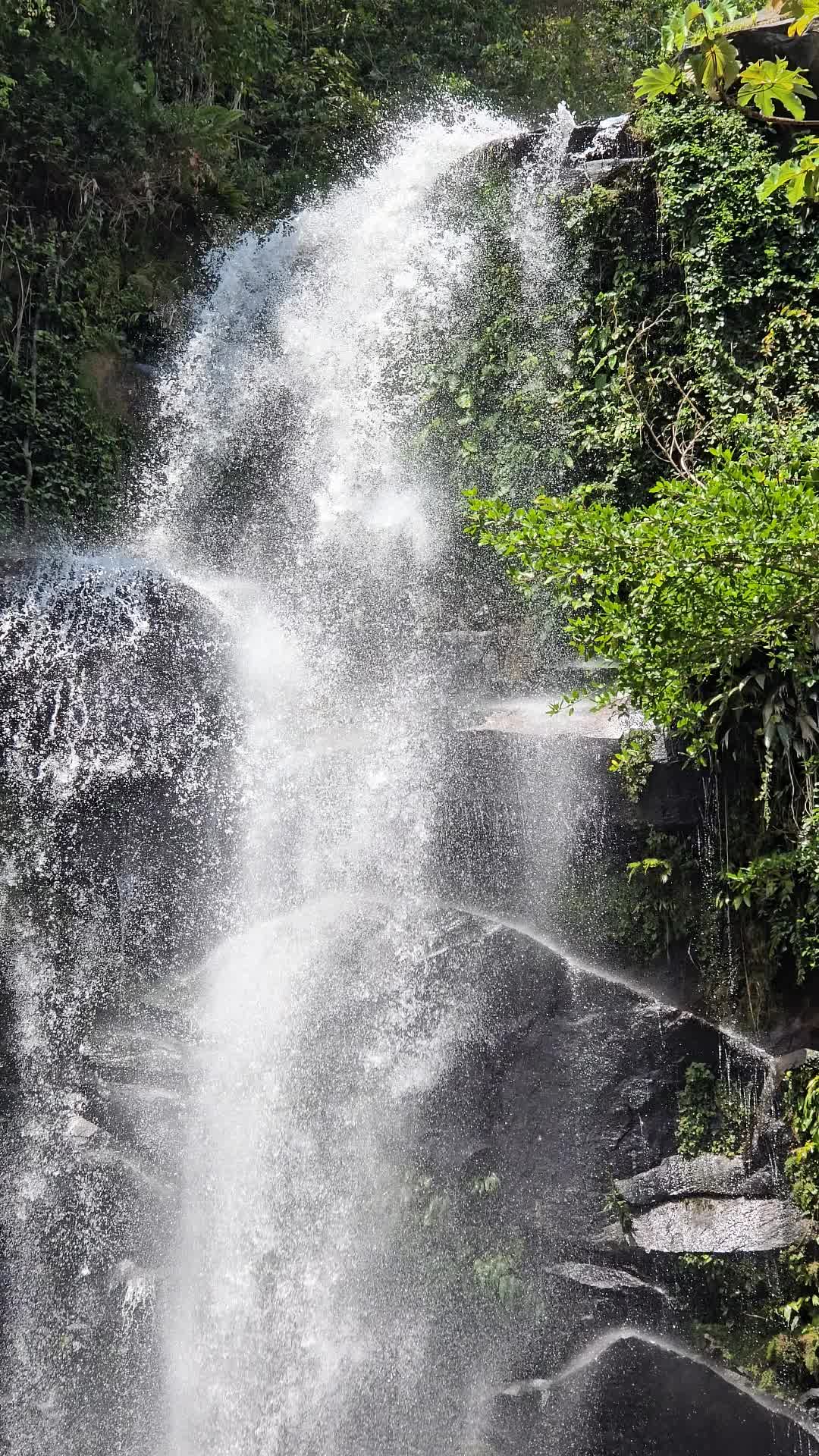@&Oslash;mar_TravelVzla