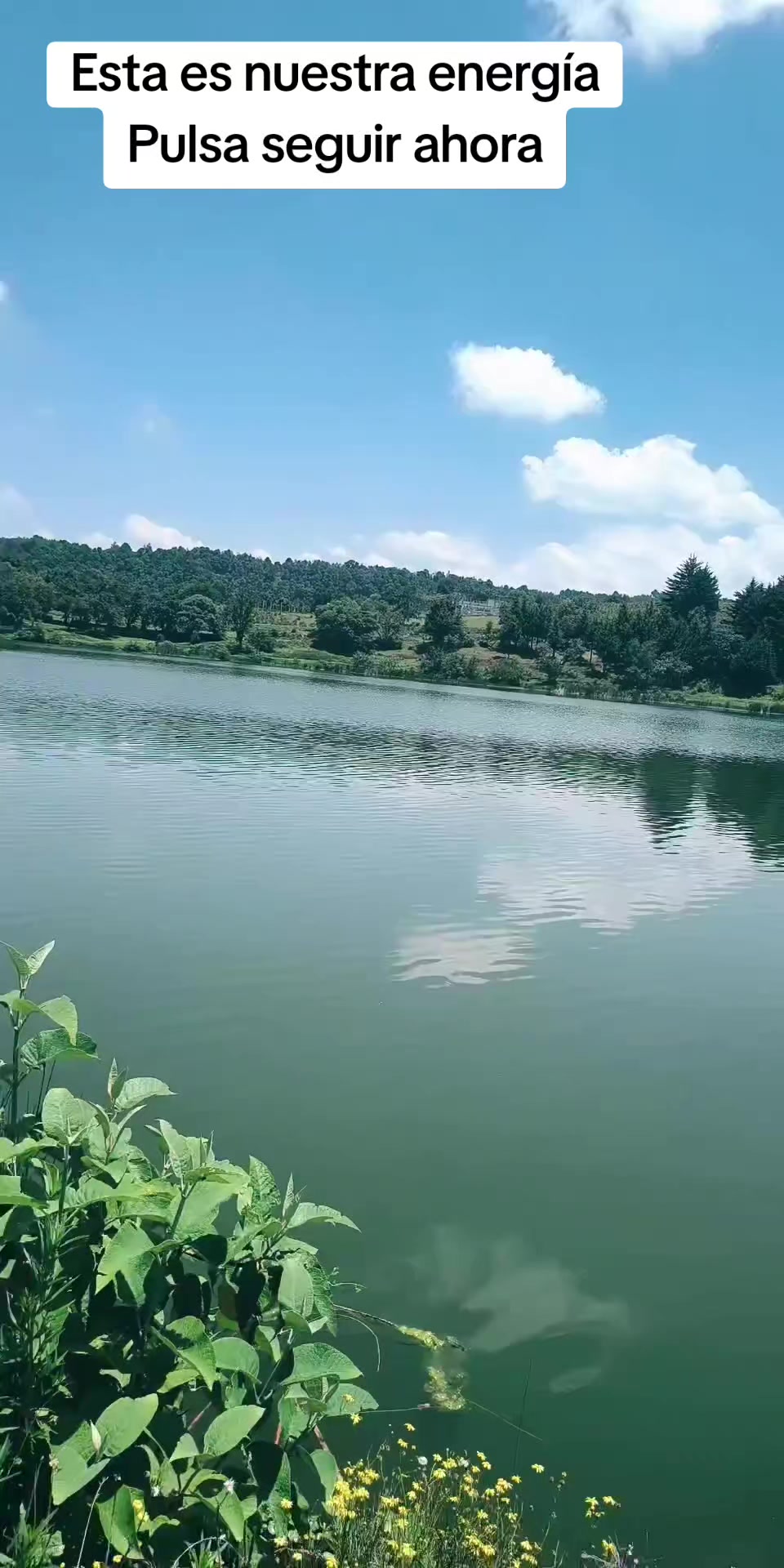 @ediguerrero