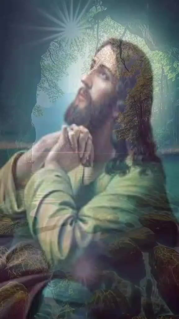 @seguidor de jesus