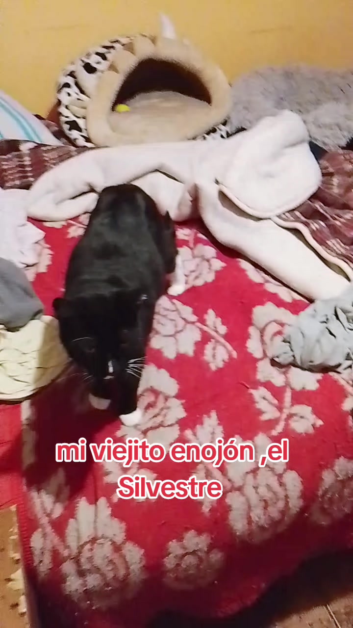 @Canelita@la bonita