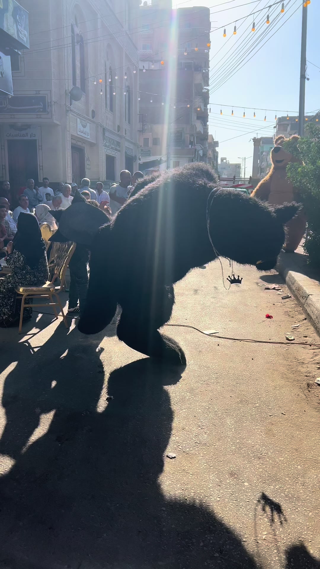 @بودا بتاع غوريلا🦍🔥